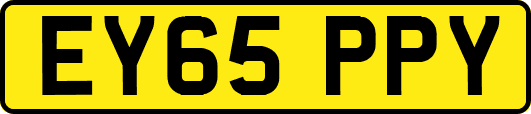 EY65PPY