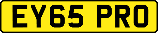 EY65PRO