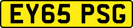 EY65PSG