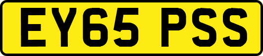 EY65PSS