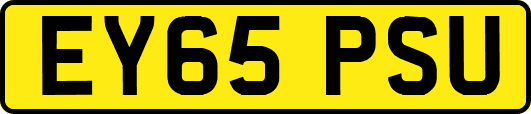 EY65PSU