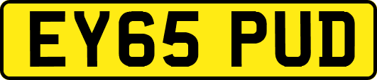 EY65PUD
