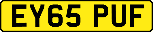 EY65PUF
