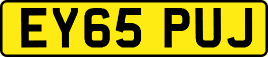 EY65PUJ