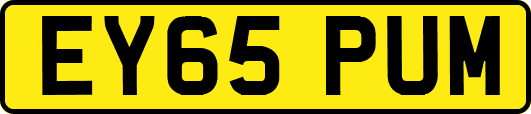 EY65PUM