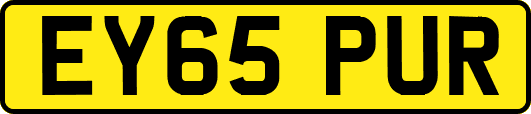EY65PUR