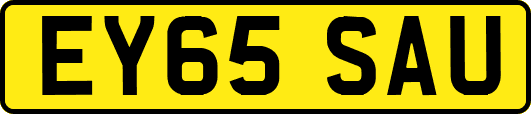 EY65SAU