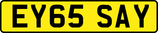 EY65SAY