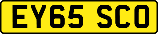 EY65SCO