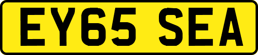 EY65SEA