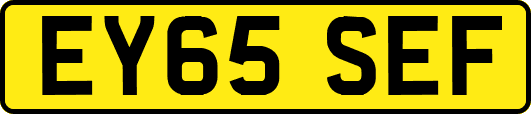 EY65SEF