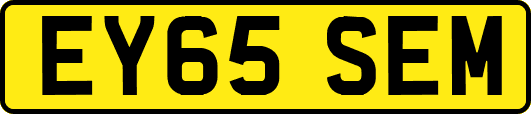 EY65SEM