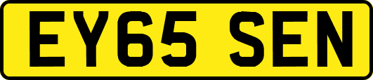 EY65SEN