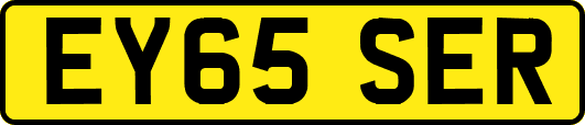 EY65SER