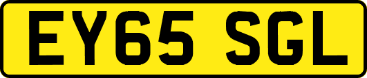 EY65SGL