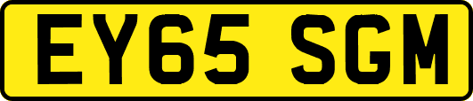 EY65SGM