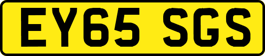 EY65SGS