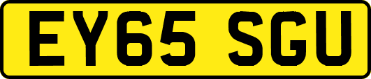 EY65SGU