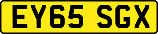 EY65SGX