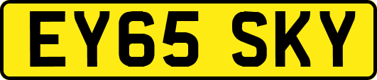 EY65SKY