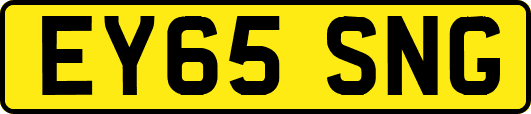 EY65SNG