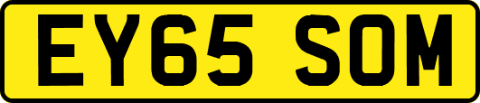 EY65SOM