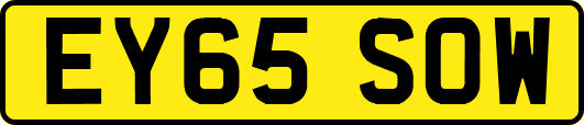 EY65SOW