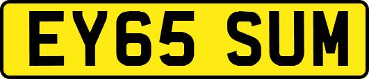 EY65SUM