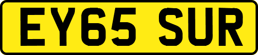 EY65SUR