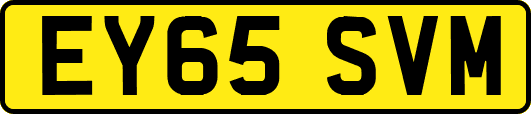 EY65SVM