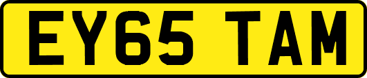 EY65TAM