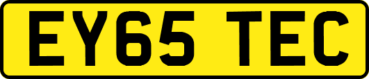 EY65TEC