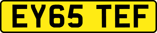 EY65TEF