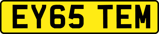 EY65TEM
