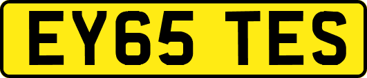 EY65TES