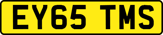 EY65TMS