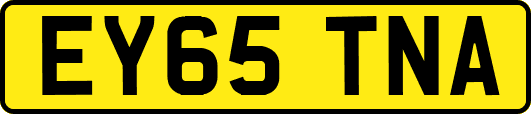 EY65TNA