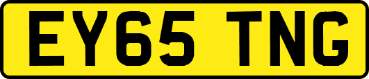 EY65TNG