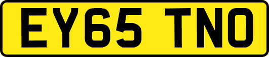EY65TNO