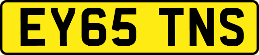 EY65TNS
