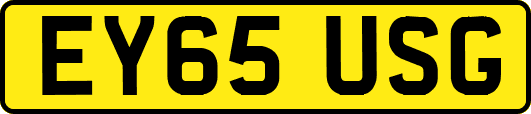 EY65USG