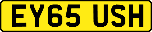 EY65USH