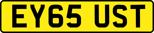EY65UST