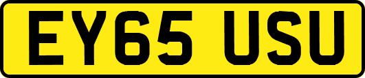 EY65USU