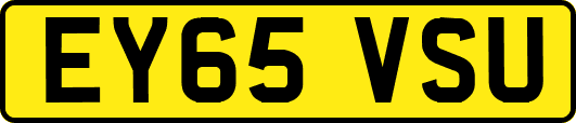 EY65VSU