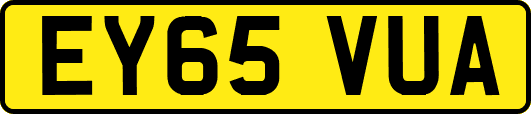 EY65VUA