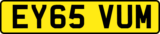 EY65VUM