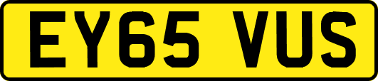 EY65VUS
