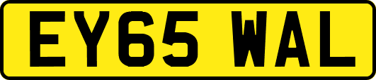 EY65WAL