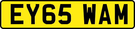 EY65WAM
